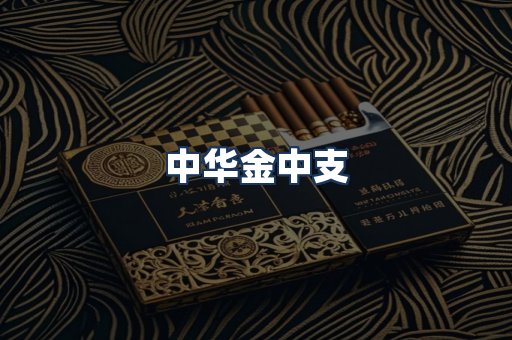 中华金中支